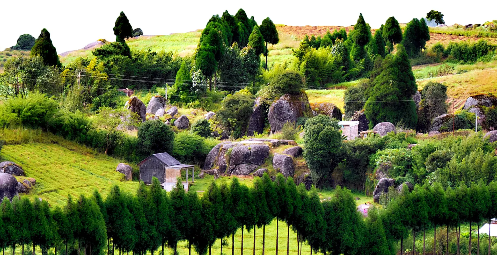 The pine-covered hills and boulder fields of Meghalaya surrounding Sha Ri Loum, Shillong