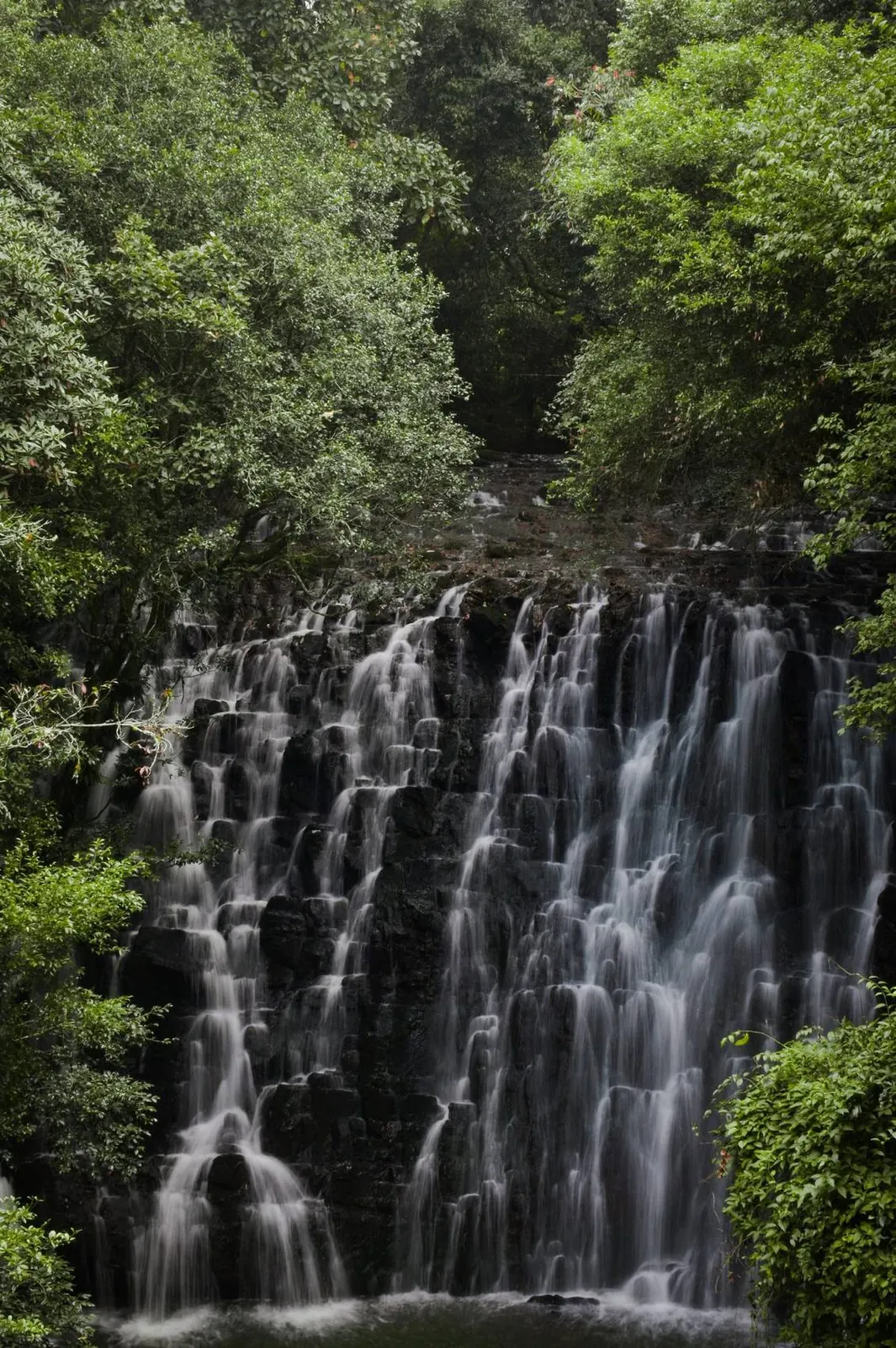 Waterfall cascading over black rock through dense green forest near Elephant Falls